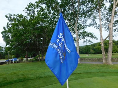 golf flag