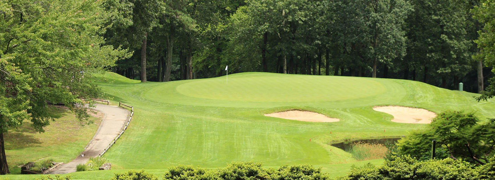 golf course and flag