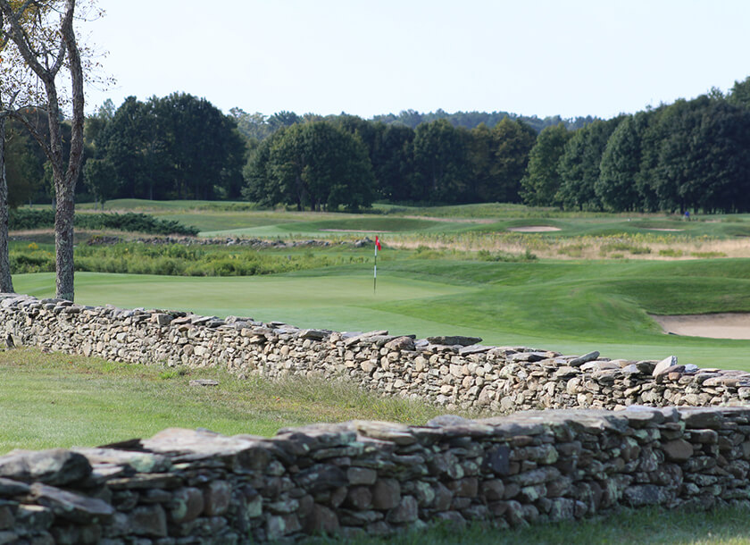 golf course and flag